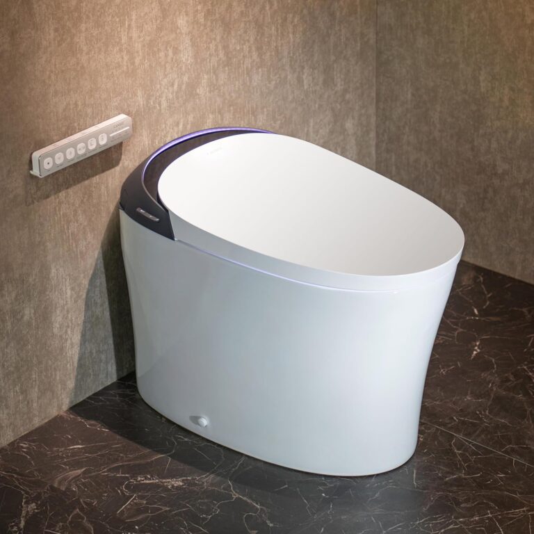 CANEST Smart Toilet Review: Honest Pros & Cons 15 Image 1 of CANEST smart toilet review