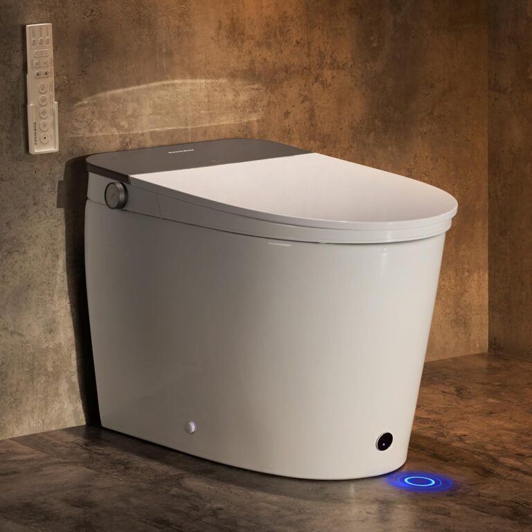 Casta Diva CD-K030 Smart Toilet Review: Honest Verdict 25 Image 1 of Casta Diva CD-K030 smart toilet review