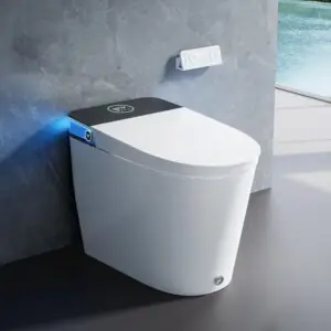 Image 1 of HOROW T38P smart toilet review
