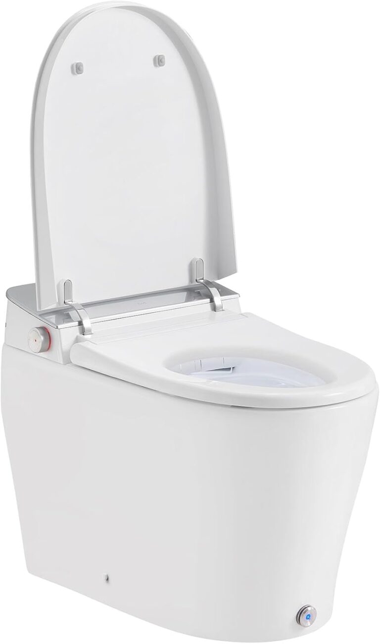 OVE Decors Clarke Review: Honest Pros & Cons of Smart Bidet Toilet 6 Image 1 of OVE Decors Clarke review